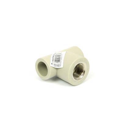 TRÓJNIK 20 x 1/2 GW PP